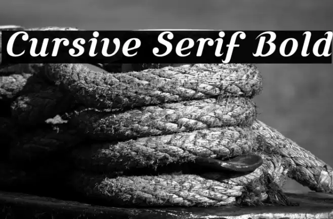 Cursive Serif Bold Fuentes examples