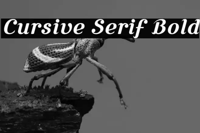 Cursive Serif Bold Fuentes examples