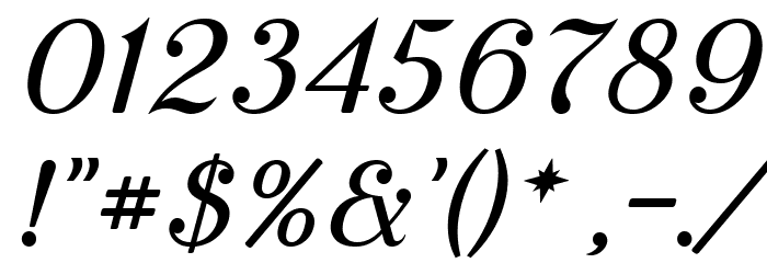 Cursive Serif Book Font OTHER CHARS