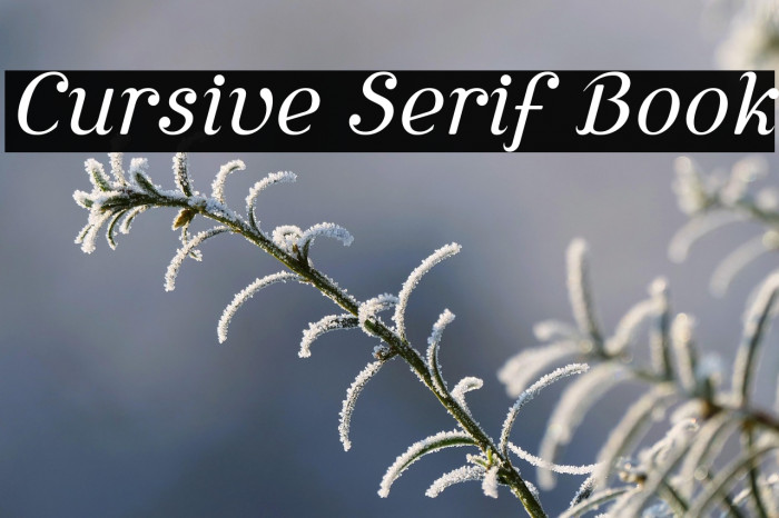 Cursive Serif Book Example 3