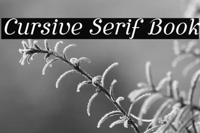Cursive Serif Book خط examples