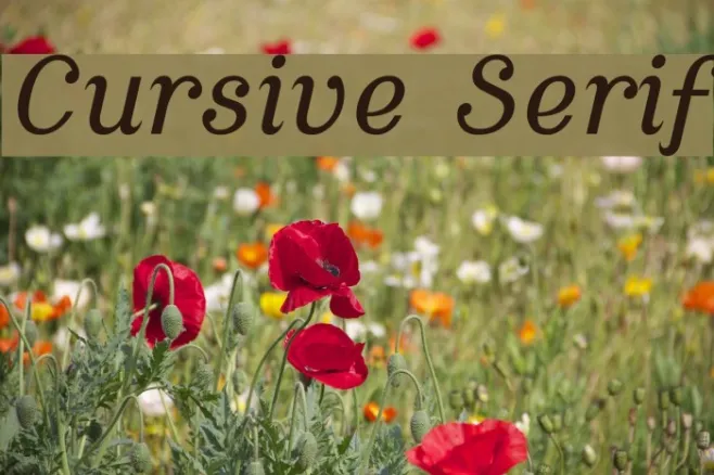 Cursive Serif Example 2