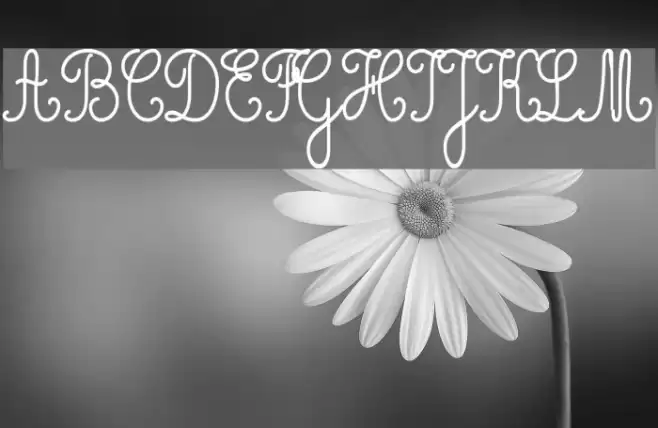 Cursivestandard Font examples