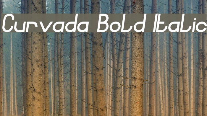 Curvada Bold Italic Font examples