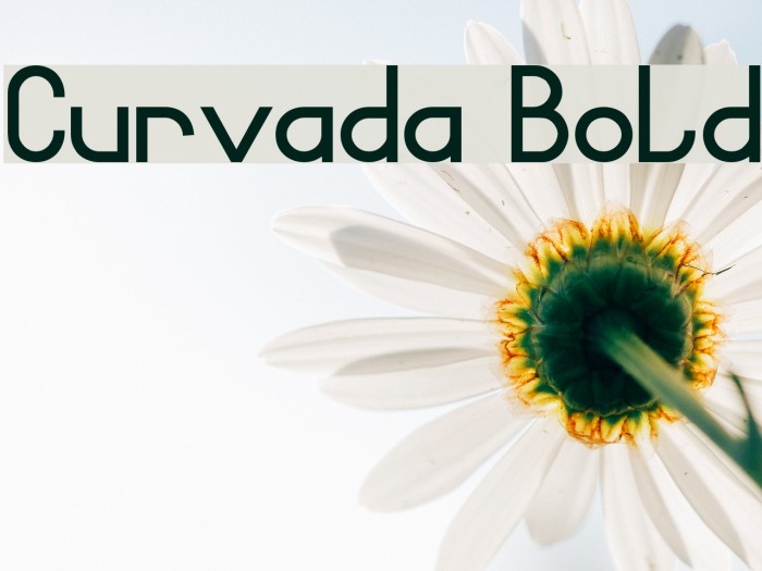 Curvada Bold Example 2