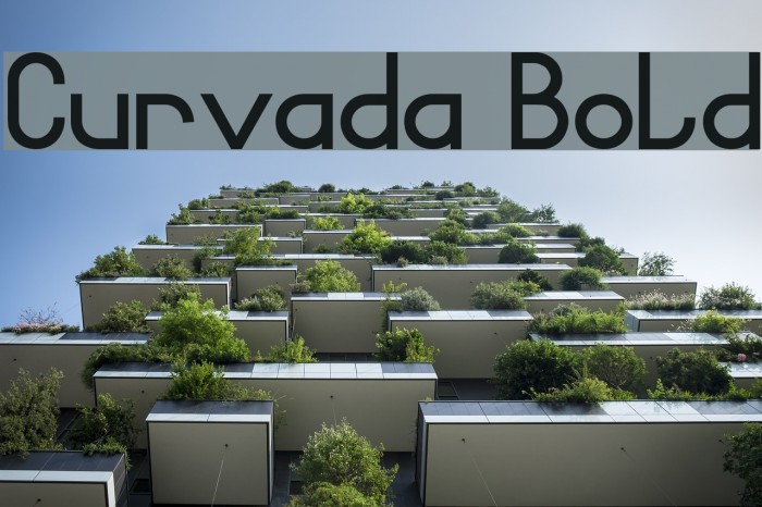 Curvada Bold Example 3