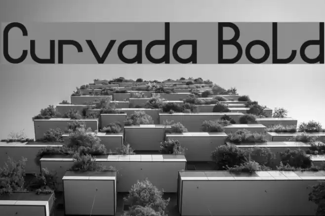 Curvada Bold Font examples