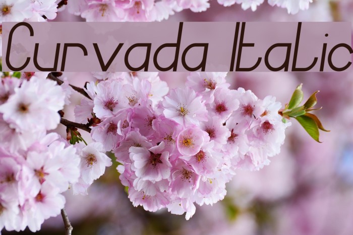Curvada Italic Font examples