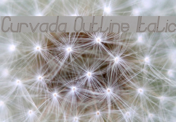 Curvada Outline Italic Example 3