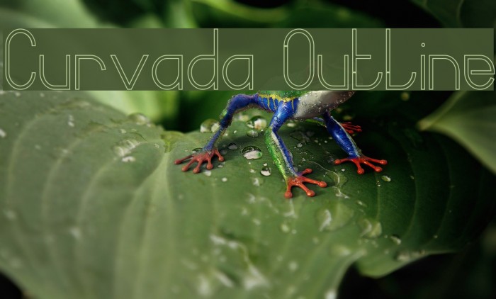 Curvada Outline Font examples