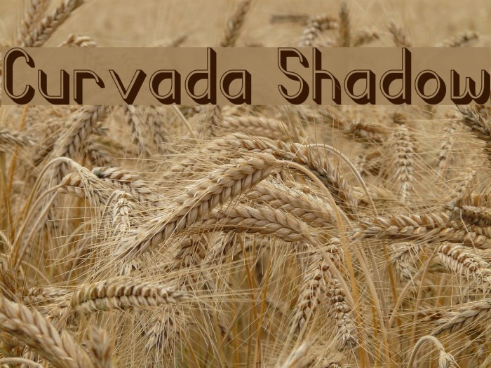 Curvada Shadow Font examples