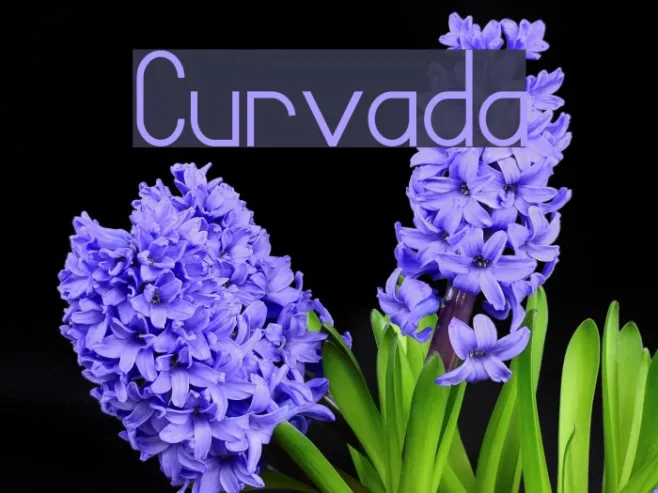 Curvada Example 2