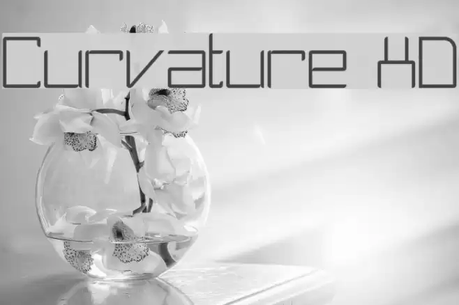 Curvature XD Font examples