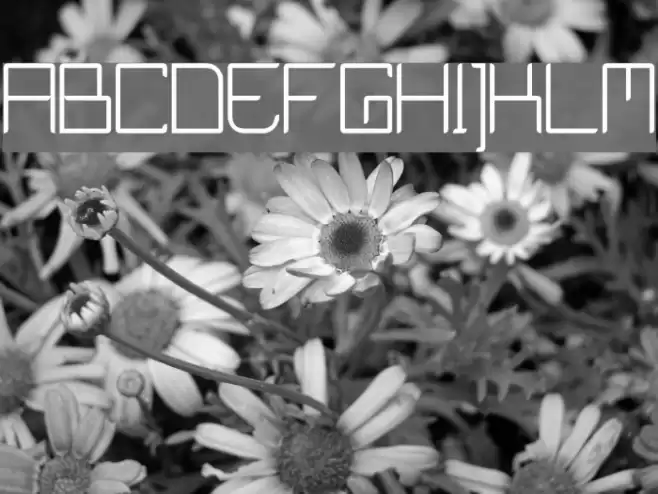 Curvature XD Font examples