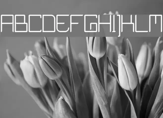 Curvature XD Font examples