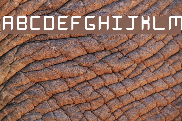 Curved Capitals Regular Font examples