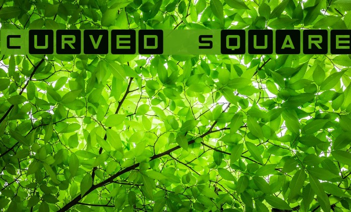 Curved Square Font examples