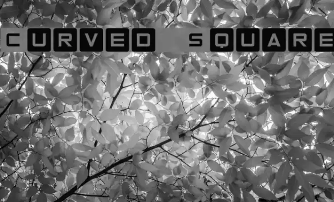 Curved Square Font examples