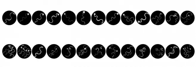 CurvedBeings Caratteri MAIUSCOLE