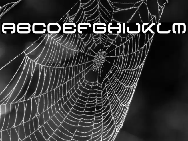 Curves Font examples