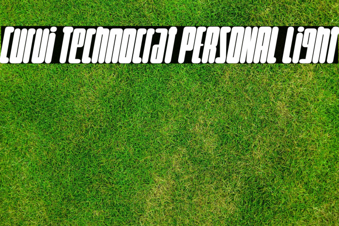 Curvi Technocrat PERSONAL Light Example 1