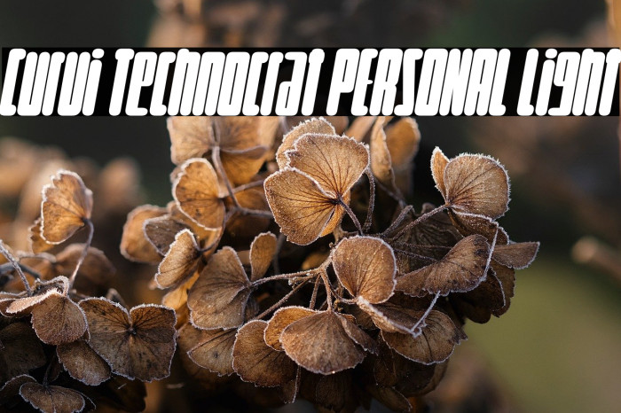 Curvi Technocrat PERSONAL Light Example 2