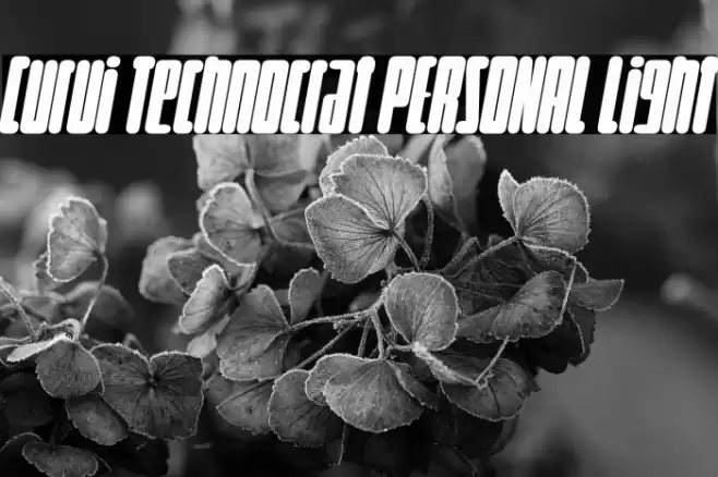 Curvi Technocrat PERSONAL Light Font examples