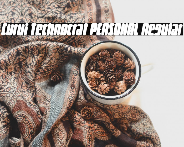 Curvi Technocrat PERSONAL Regular Example 1