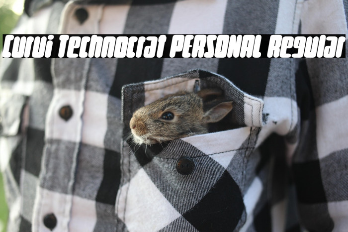 Curvi Technocrat PERSONAL Regular Example 2