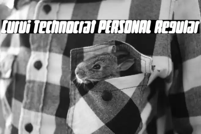 Curvi Technocrat PERSONAL Regular Font examples