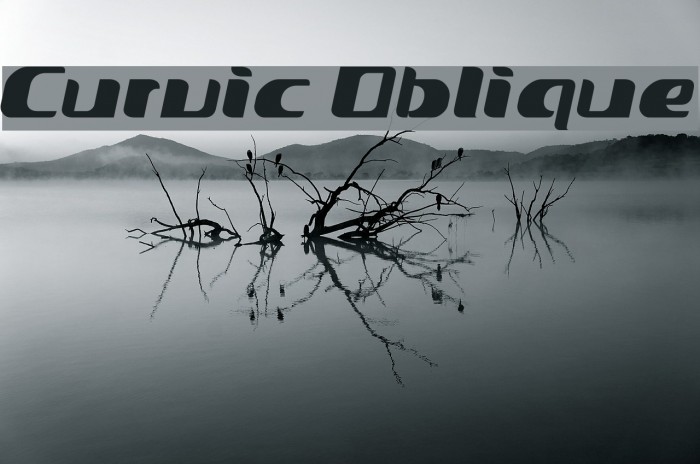 Curvic Oblique Font examples