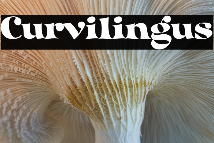 Curvilingus Example 2