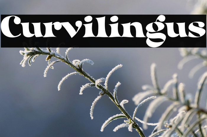 Curvilingus Example 3