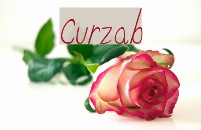 Curzab Example 2