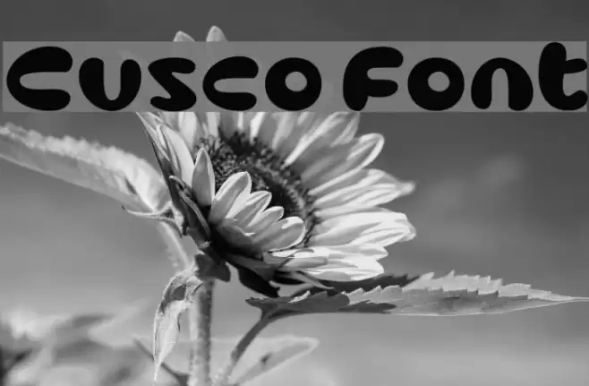 Cusco Font examples