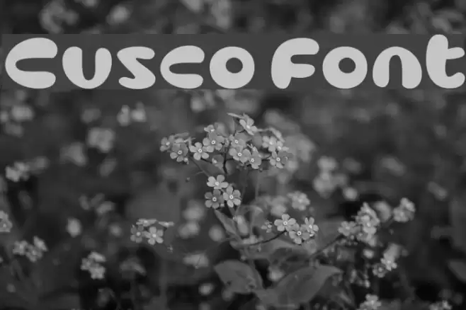Cusco Font examples