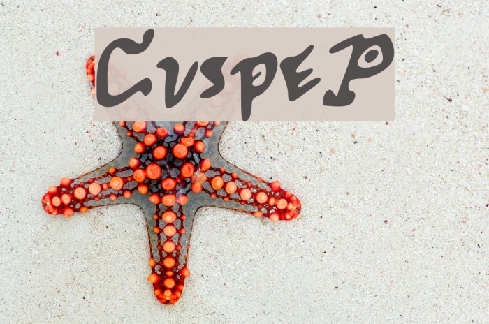 CuspeP Font examples