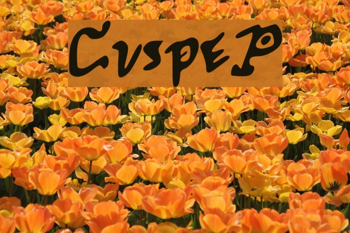 CuspeP Font examples
