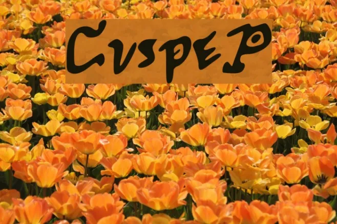 CuspeP Example 3