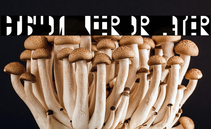 Custom Inferior Layer Example 1