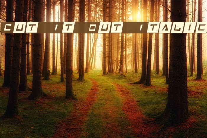 Cut It Out Italic Example 1