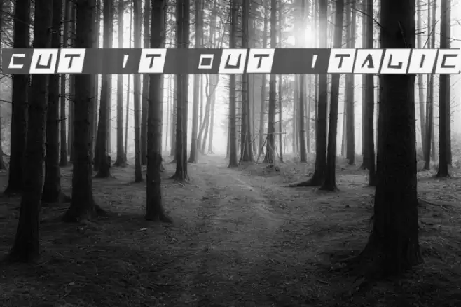 Cut It Out Italic Font examples