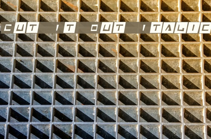 Cut It Out Italic Example 2