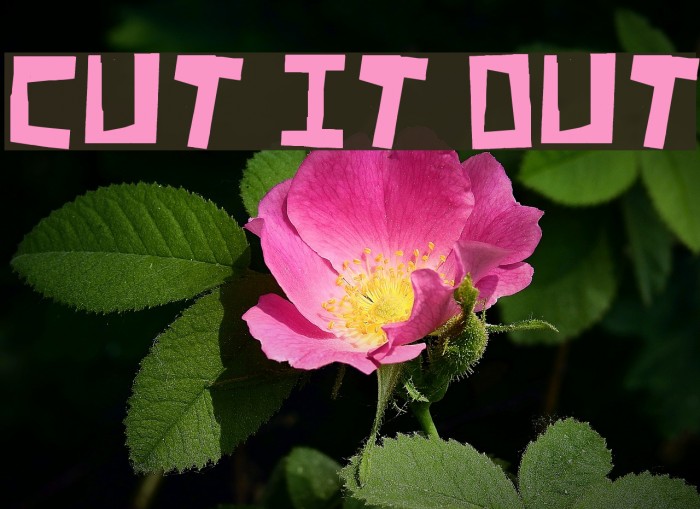 Cut It Out Font examples