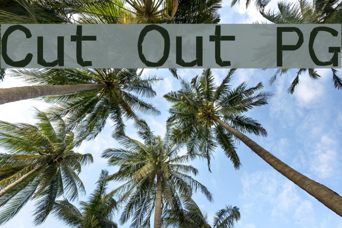 Cut Out PG Font examples