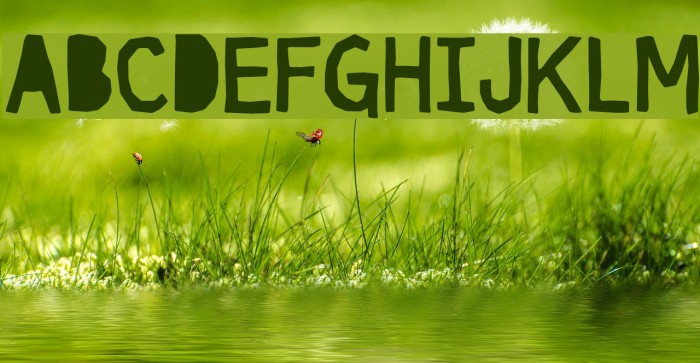 Cut it out DEMO Soft Font examples