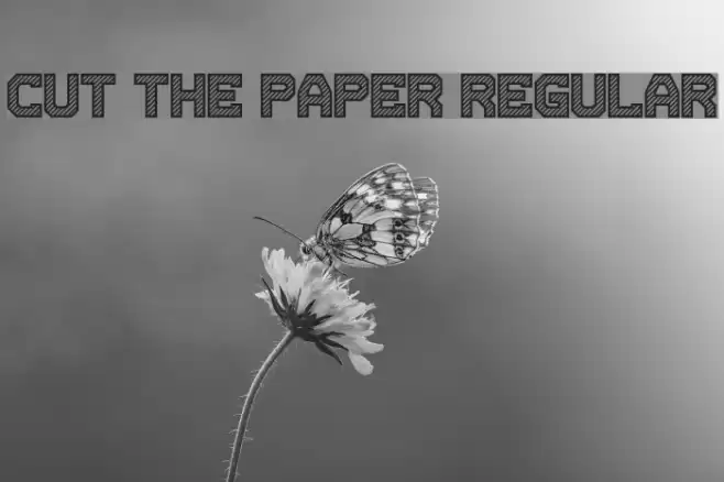 Cut the paper Regular Font examples
