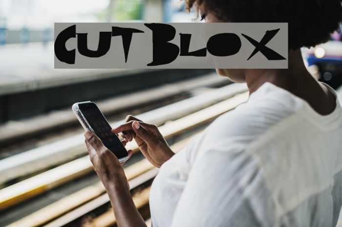 CutBlox Example 1