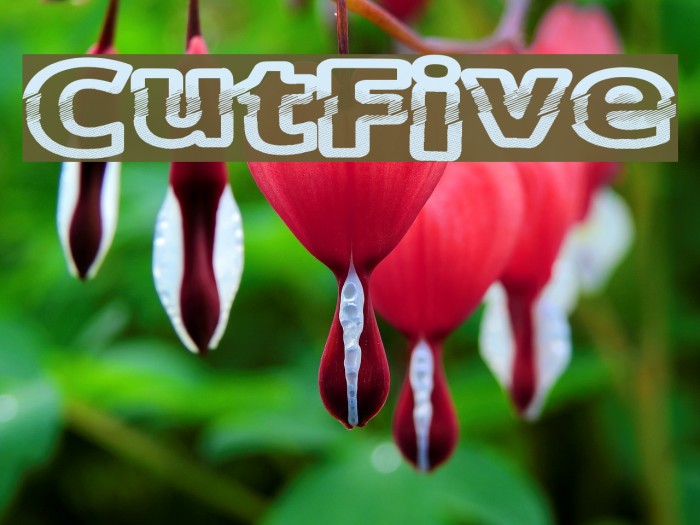 CutFive Font examples