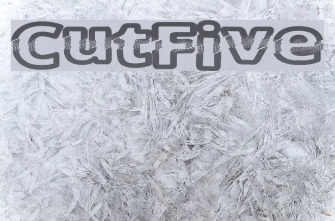 CutFive Example 2